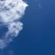 しらたき