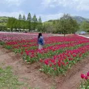 もっち♡フォロー割引有り♡即購入◯の画像