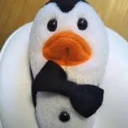 すうちゃんの画像