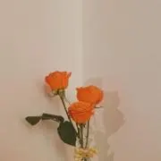 まるいぱんの画像