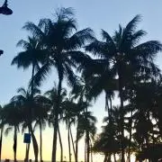 555の画像