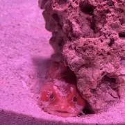 Mzzzzzzの画像