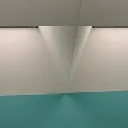 さんまの画像