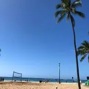ggの画像