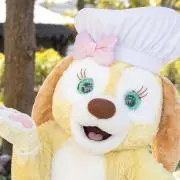 an♥プロフ必読の画像