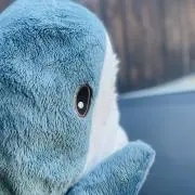 てんむすの画像