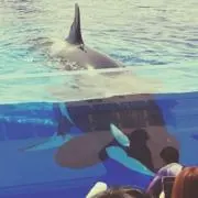 Mの画像