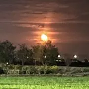 かなみなの画像