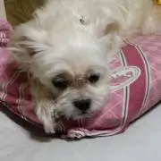 ⭐えふ⭐
