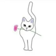 yoyoの画像