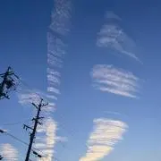 スカイブルー プロフ参照の画像