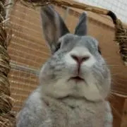 マカモカ