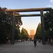 はねの画像