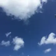 ぴーなつ
