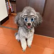 あかり
