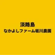 淡路島のなかよしファーム　坂川農園の画像