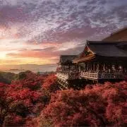 まるの画像