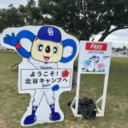 ちーこの画像