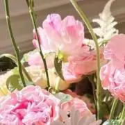 ちぃー