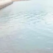 ひかりくん