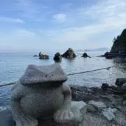 ぶうちゃんの画像
