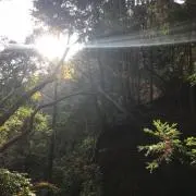 yuyu 断捨離中の画像