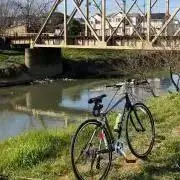 たーたの画像