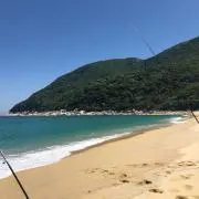 りれの画像