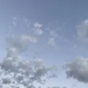 hakkの画像