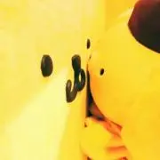はな