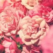 みぃ