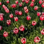 も(プロフ必読)の画像