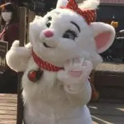 A*.°の画像
