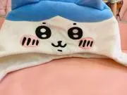 アイビーの画像