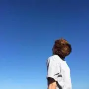 れもんの画像