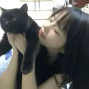 ぽにょの画像