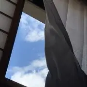 かいかの画像