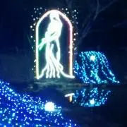 馬馬