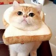 カズの画像