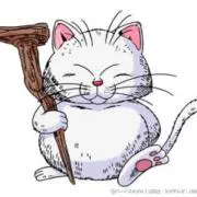 momo-nekoの画像