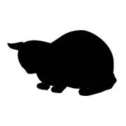 そーの画像