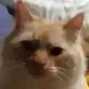ミミ❤️【プロフィールにお得情報!】の画像