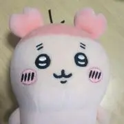 断捨離中びいちゃんの画像