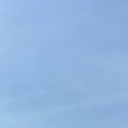 さいの画像