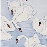 白鳥座の画像