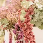 Sakutaro❋の画像