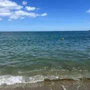 まの画像