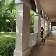 あやの画像