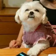 ★シュワシュワ★の画像