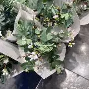 さくらの画像